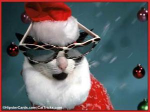 Hip Kitty from Hipster Cards