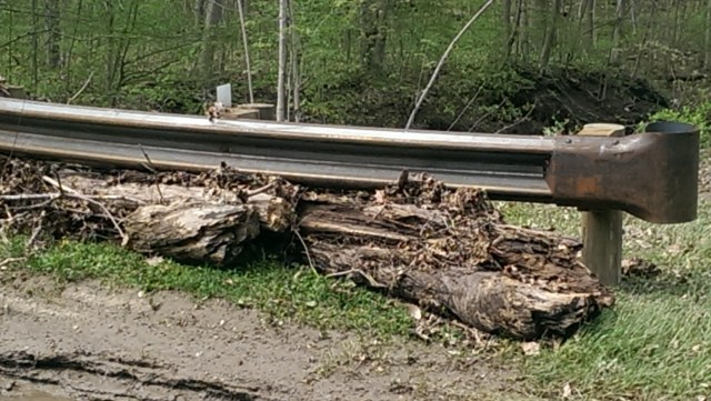 Hinckley Metroparks Roadside