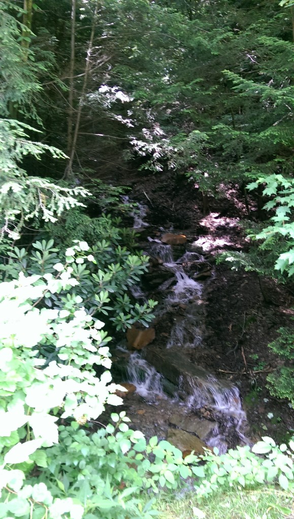 Great Allegheny Passage Waterfall